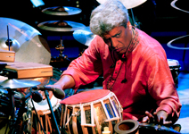 Trilok Gurtu